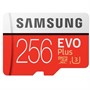 256GB Samsung EVO+